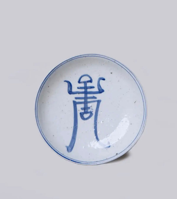 Tiny Blue and White Dish